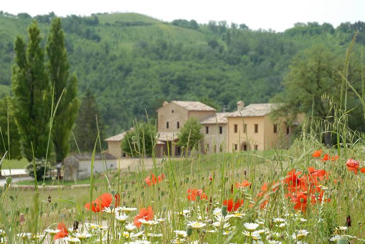 Agriturismo Verziere Villa Fermignano ภายนอก รูปภาพ